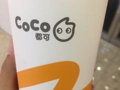 -CoCo都可(安河桥华联店)