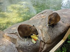 -北京野生动物园