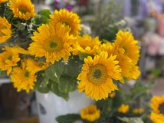 -循礼门鲜花花市(武汉循礼门店)