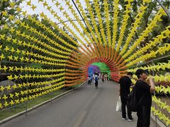 -临沂动植物园
