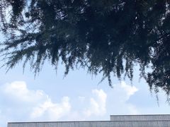 -侵华日军南京大屠杀遇难同胞纪念馆