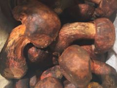-缘生态云南菜·野生菌庭院餐厅(华侨城店)