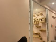 -猫咪派对(江南西店)