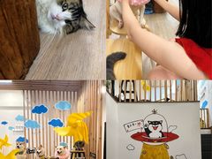 -柴迷FANS CLUB·柴犬狗咖·猫咖