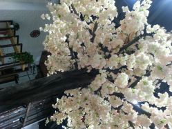 android_upload_pic-简影造型·自选烫染接发salon