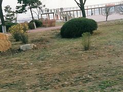 -丁香湖公园