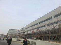 -首都医科大学附属北京天坛医院