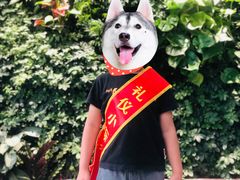 -蓝莓果幼儿园(通州梨园店)