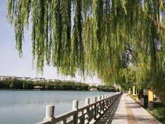 -党河风情线国家水利风景区