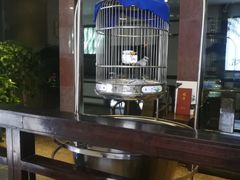 -鸭王烤鸭店(三里河店)