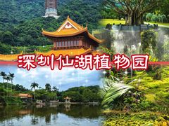 -深圳仙湖植物园-停车场