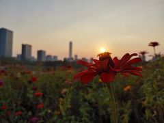 -白塘生态植物园