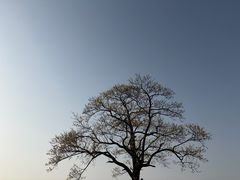 -四明湖