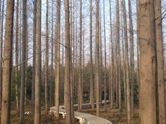 -上海怡沁园度假酒店