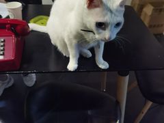 -Doors独立剧情密室(东门分店)