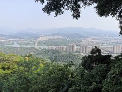 -风云岭森林公园