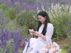 -紫颐香薰山谷景区