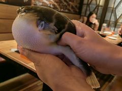 -永安鱼庄·镇江菜(丁卯店)