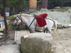 -天龙八部武侠城
