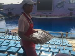 -北戴河圣蓝海洋公园