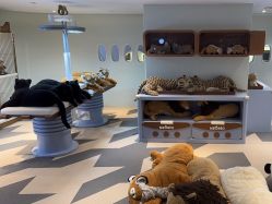 点击看大图 -超级奈尔宝SUPER NEOBIO(杭州星光店)