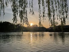 -王婆大虾(五道口店)