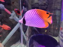 -沈阳海洋探索中心