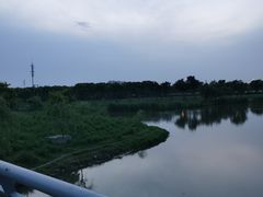 -贡湖湾湿地公园