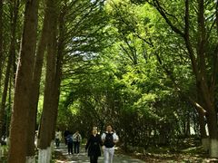 -苏州太湖国家湿地公园