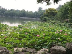 -北京小汤山医院体检中心