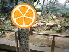 -陕西自然博物馆