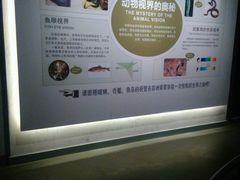-扬州科技馆