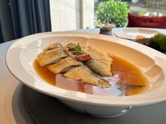 太雕酒煎鲥鱼-子福慧(虹桥店)