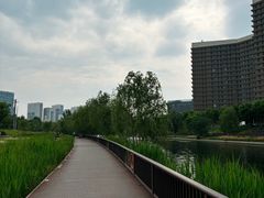 -西海子公园