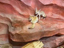 -Zoolung Zoolung动物主题公园(海信广场店)