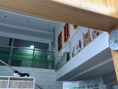 -爱侣宠医·鹦鹉专科·小型哺乳类·异宠专科(灵石路店)