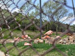 -沈阳森林动物园