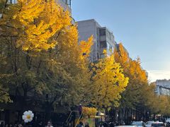 -红豆园(文林街店)
