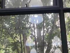 -顽皮家族宠物医院(浦东北园路分院)