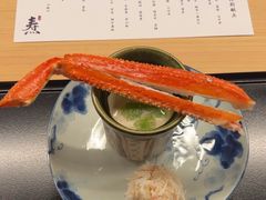-焘