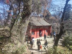 -少华山国家森林公园