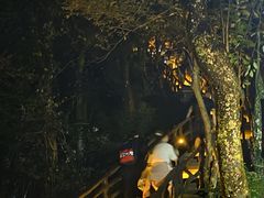 -萍乡武功山风景名胜区