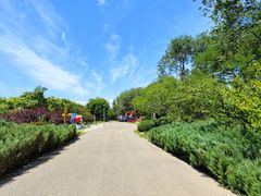 -永定河休闲森林公园