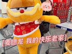 -麦德龙(浦东店)