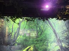 -上足·影院足道·SPA(红岭店)