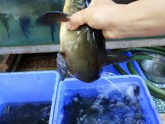 -凤翔饭庄·洱海畔的味道