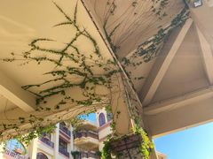 -厦门帝元维多利亚大酒店(环岛路黄厝海滩店)