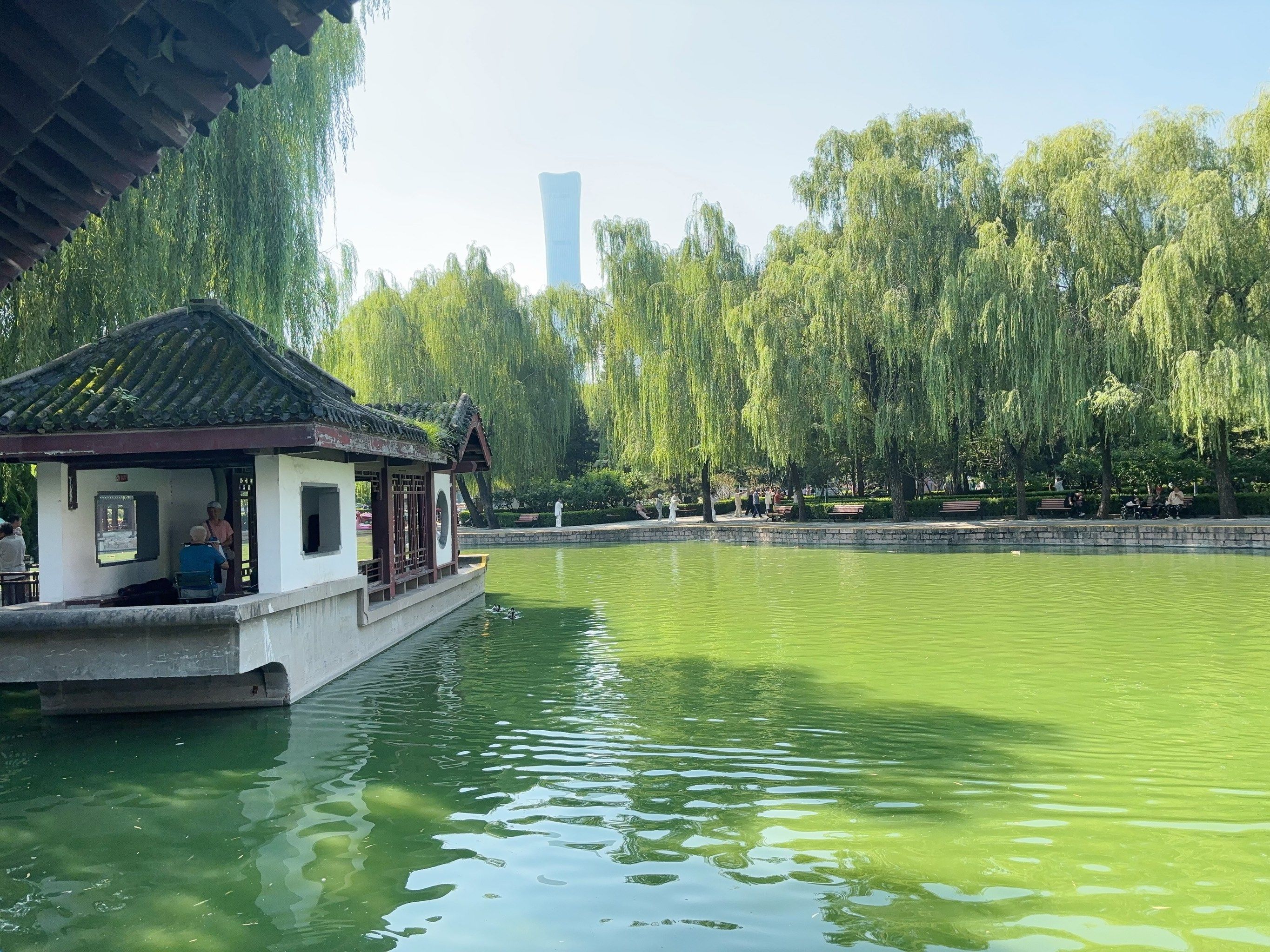 公园美景赏心悦