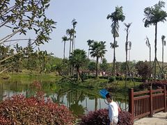 -枫香湖儿童公园