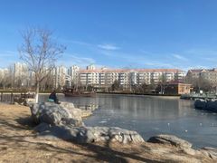 -绿岛公园(滨海新区)